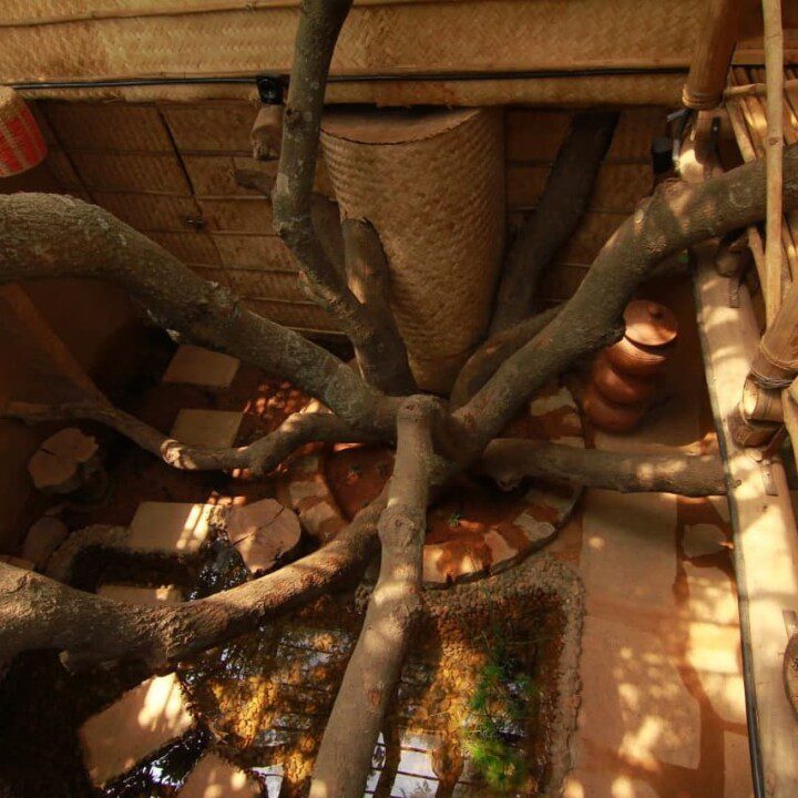 AuraKalari : An indoor courtyard at Mud and Tree Homestay features a large tree with several sprawling branches, surrounded by stone pathways and small water features. Rustic wooden furniture and a woven bamboo wall with bamboo poles create a natural, earthy ambiance. Dappled light filters through the leaves, casting gentle shadows.