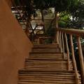 AuraKalari : The AuraKalari stairwell, made of bamboo, leads upwards next to an orange-brown wall. The handrails are also crafted from bamboo. Surrounded by lush greenery, the staircase sits beneath a wooden pergola with a transparent roof providing partial cover. A small copper-colored light hangs from the pergola.